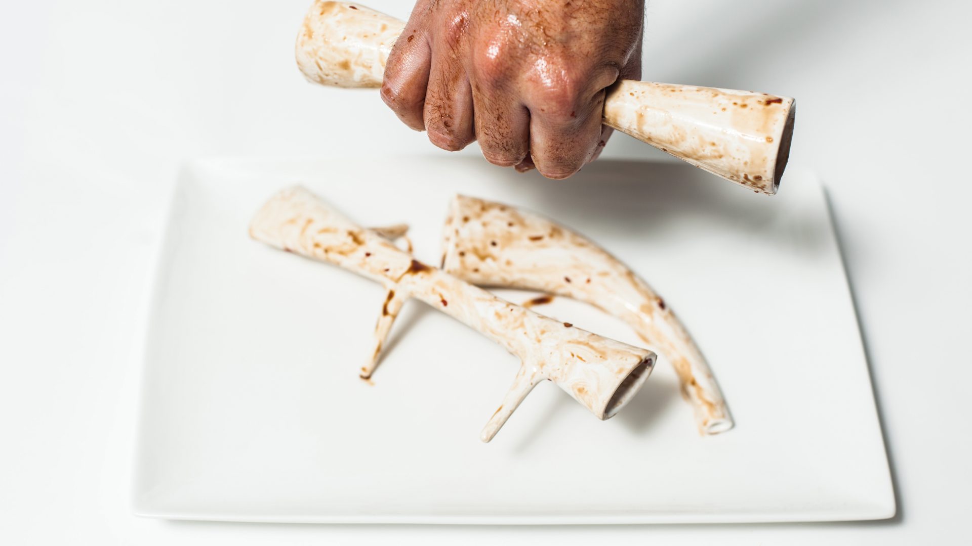 Next Nature: Bone Pickers, 2014. Bone Pickers, made of cultured meat around an ersatz bone scaffold.